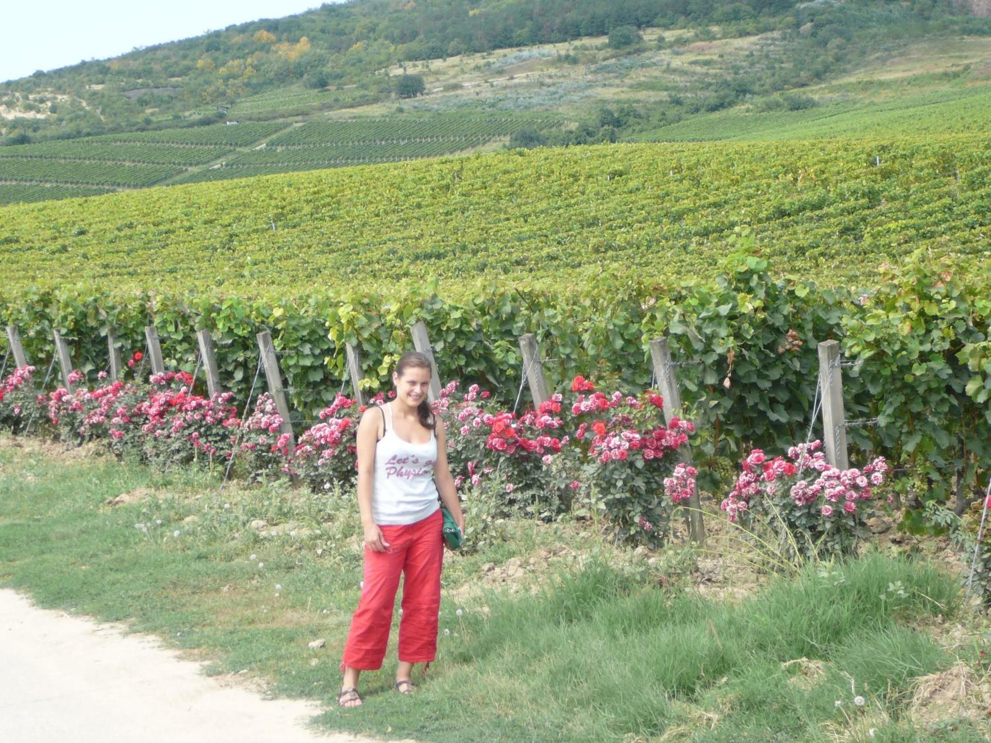 Bed and Breakfast Torkolat Panzio à Tokaj Extérieur photo